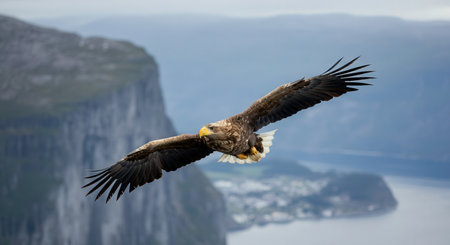Majestic eagle soaring over rugged coastal cliffs in serene landscapeの素材