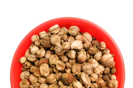 cardamom, herbs A local name that other festivities like (Pattani), white cardamom (Central, East), Ma Yi (North), galangal Khok Kha Wasco at checkers noeng (Northeast), cardamom, black cardamom, red cardamom. Monday Bodhisattva cardamom etc.の写真素材