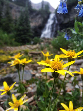 A shot of our camp at the base of El Diente and Mount Wilson peak in Colorado.の素材