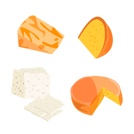 Cheese types. Modern flat style realistic vector illustration icons isolated on white background. Gourmet product white cheese slice. Food dairy slice gourmet cheese cheddar yellow snack piece.のイラスト素材