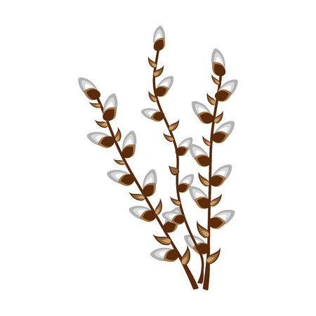 Nature easter flower tree plant pussy-willow blossom vector illustration.の写真素材