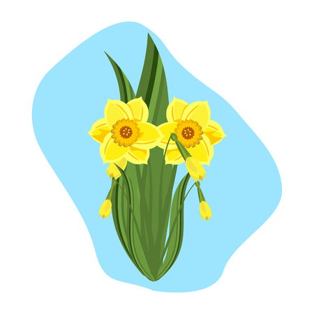 Beautiful daffodils green nature plant vector illustration.のイラスト素材