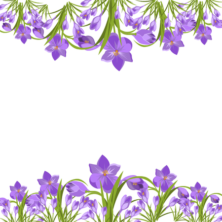Purple crocuses in the snow vector. Spring violet crocuses on white. Floral nature spring illustration crocus flower.のイラスト素材