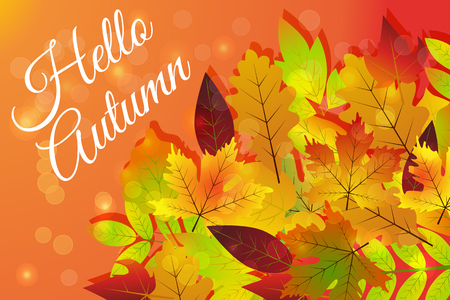 Hello autumn. Hand drawn nature foliage different colored autumn leaves.の写真素材