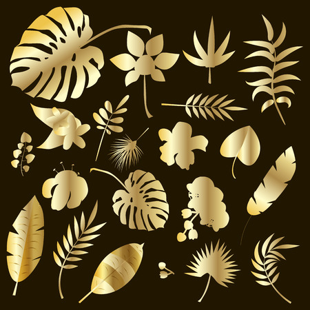 Set of palm leaves gold silhouettes isolated on dark background. Banana, coconut, palm leaves, tropical plants, orchid, monstera, hibiscus. Tropical plant botanical hawaii nature decoration floral. Vector illustration.のイラスト素材