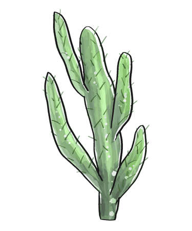 Cactus in a watercolor style isolated on white background. Vector illustration.のイラスト素材