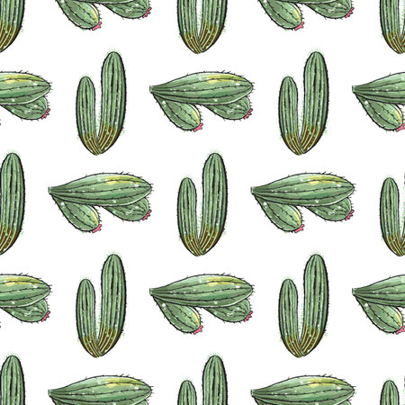 Cactus seamless pattern. Watercolor pattern of catus on white background. Green thorns Mexican...