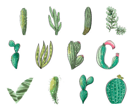 Cactus seamless pattern. Watercolor pattern of catus on white background. Green thorns Mexican succulent. Exotic cacti houseplant backgroundのイラスト素材