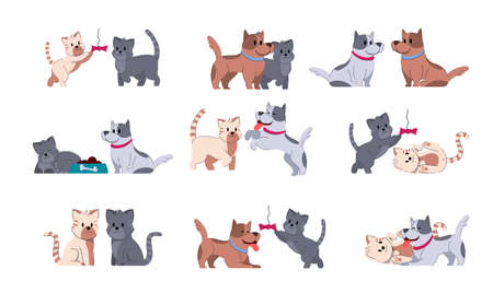 Dog adorable fummy animal. Set of cute puppy small friends. Domestic doggy character vector illustration. Cat adorable fummy animal. Set of cute kitty small friends. Domestic kitten characterのイラスト素材