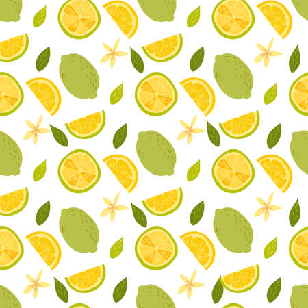 Lemon fruits pattern isolated on white. Whole and Halved Lemon Citrus Fruit with Juicy Flesh and Green Leaves Vector Set. Organic vegetarian fresh food. Vitamin tropical juicy citrus.のイラスト素材