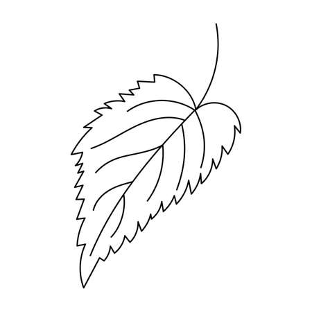 Autumn leaf in a linear style organic natural tree leaf. Isolated outline drawing modern minimalistic outline illustration isolated on white.のイラスト素材