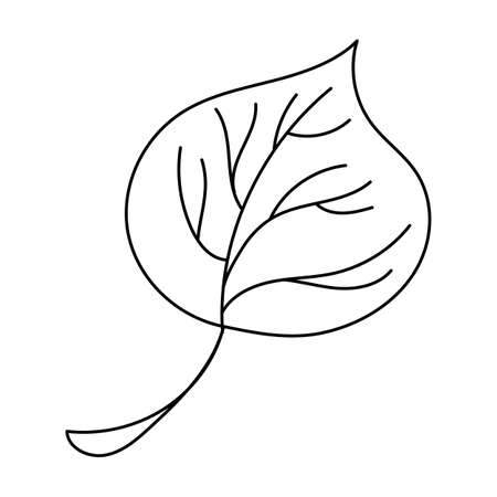 Autumn leaf in a linear style organic natural tree leaf. Isolated outline drawing modern minimalistic outline illustration isolated on white.のイラスト素材