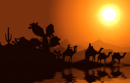 Nile river different shotsの写真素材