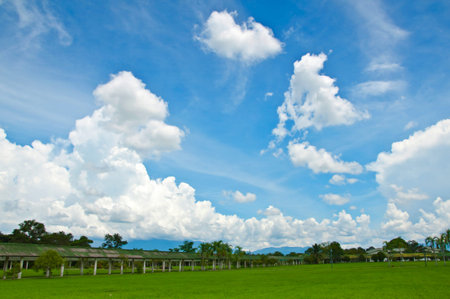 Lawn with the sky and cloud