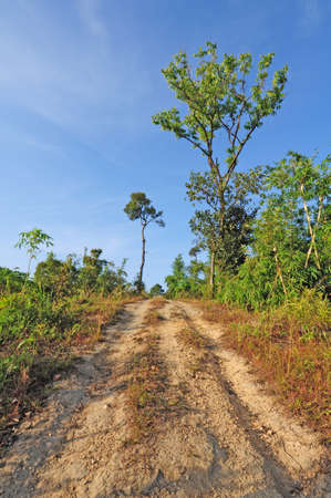 Hiking trail on the mountainsの写真素材