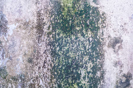 Old concrete wall covered with moss moldの写真素材