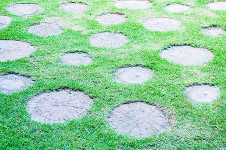 The stone block walk path in the garden with green grassの写真素材
