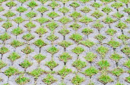 Brick block pavement way with green grass in the public garden