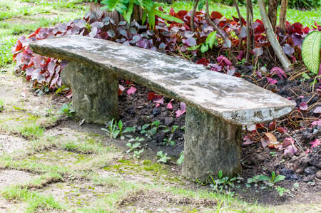 Wooden Bench with tree in the Gardenの写真素材
