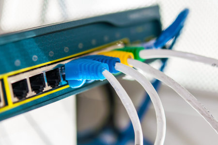 Lan wire with hub
