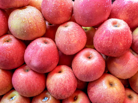 Fresh red applesの写真素材