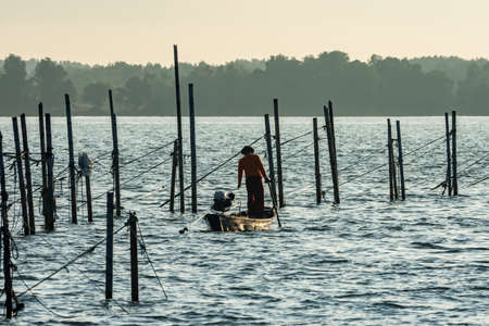Fisherman finding fish on the boat in the morningの写真素材