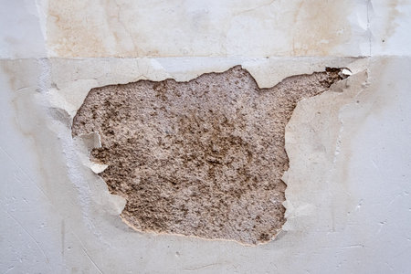 A closeup of a peeling white wallの写真素材