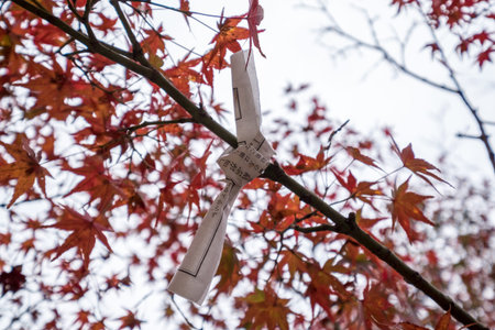 A japanese bad luck note tied to a tree in autumn