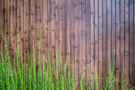 Wooden fence with some green plants at the bottomの写真素材