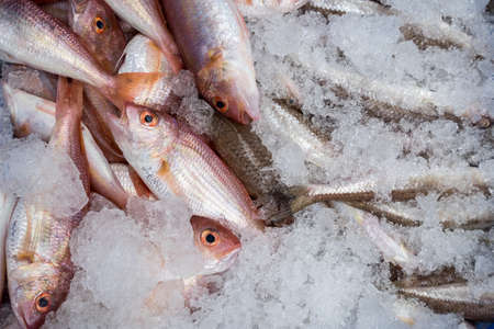 A handfull of Bluespotted seabream fish offered in a local marketの写真素材