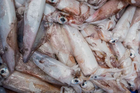 A group of squids being sold in a local marketの写真素材
