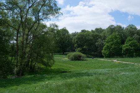 the hampstead heath park in London during the morningの写真素材