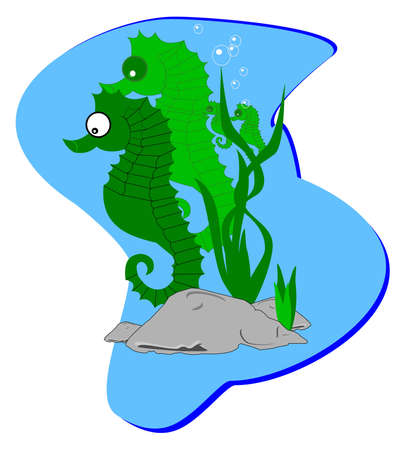 seahorse familyのイラスト素材