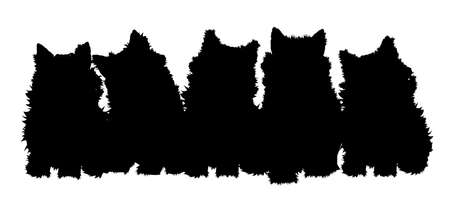 kittens in silhouette  with heads turned to show expressionのイラスト素材