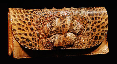 Products from a crocodile and a snake handmadeの写真素材