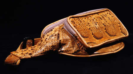 Products from a crocodile and a snake handmadeの写真素材