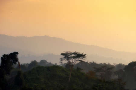 Art sketches Lao Natureの写真素材