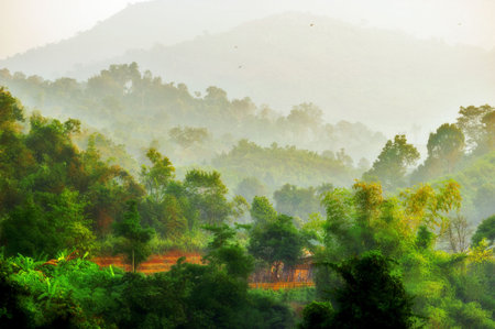 Art sketches Lao Natureの写真素材