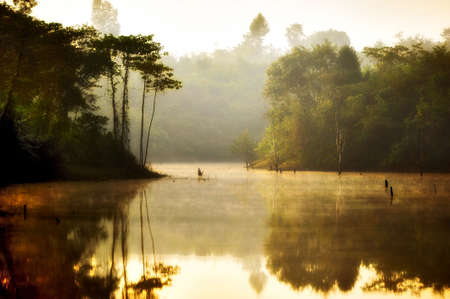 Art sketches Lao Natureの写真素材