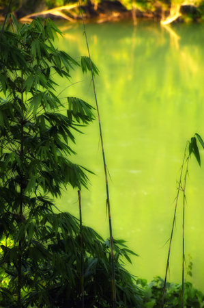 Art sketches Lao Natureの写真素材