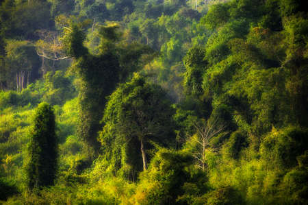 Art sketches Lao Natureの写真素材