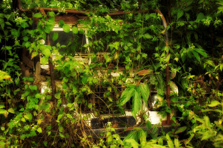 Art sketches Lao Natureの写真素材