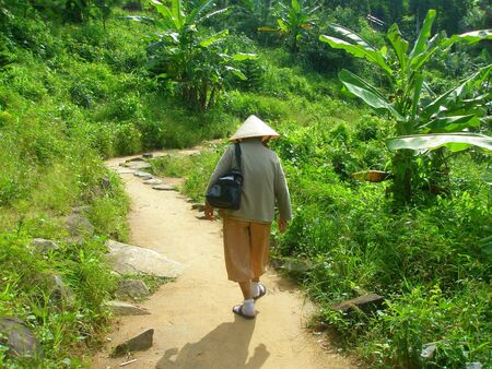 Vietnamese elderly woman on mountain  Takuの写真素材