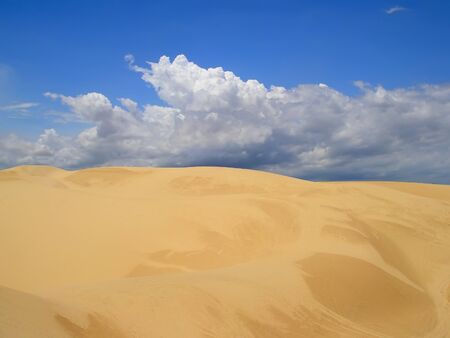 White sand dunes in Binh Thuan province, in southeastern Vietnamの写真素材