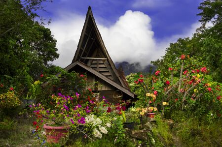 Flowers on background of batak style house.
Samosir Island, Lake Toba, North Sumatra, Indonesia.の写真素材