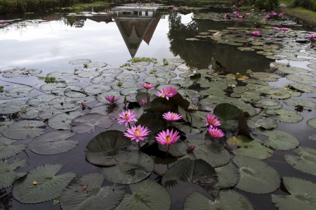 Mirror Reflexion. Samosir Island  Lake Toba  North Sumatra  Indonesia.の写真素材