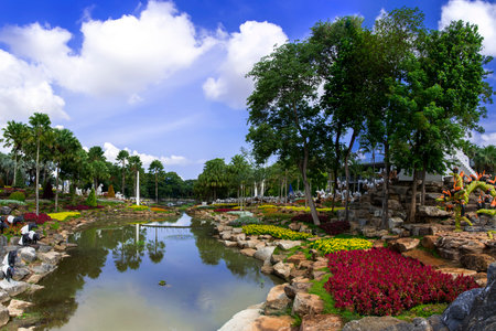 Flowers, Ponds, Gardens in Chon Buri Province of Thailand. の写真素材