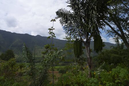 Samosir Island in Lake Toba, North Sumatra Indonesiaの写真素材
