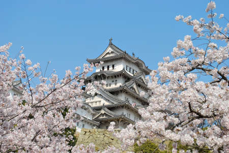 Cherry blossoms in full bloom in spring at the Himeji castle, Japanのeditorial素材
