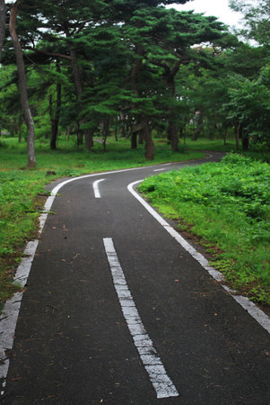 Curvy road with trees and vegetation